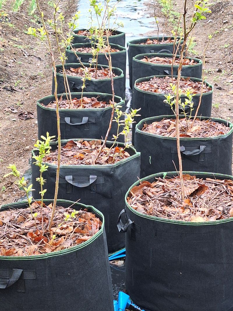 김경철님의 장터 구매 후기 썸네일