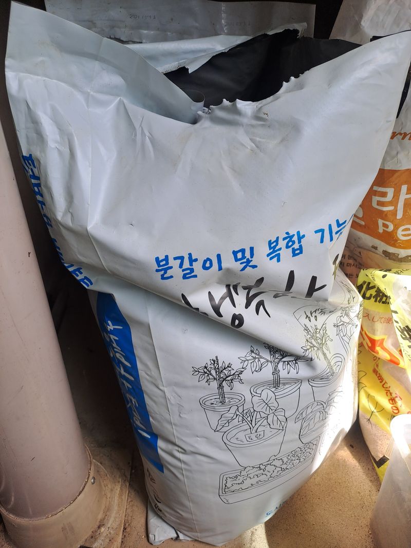 감19949님의 장터 구매 후기 썸네일