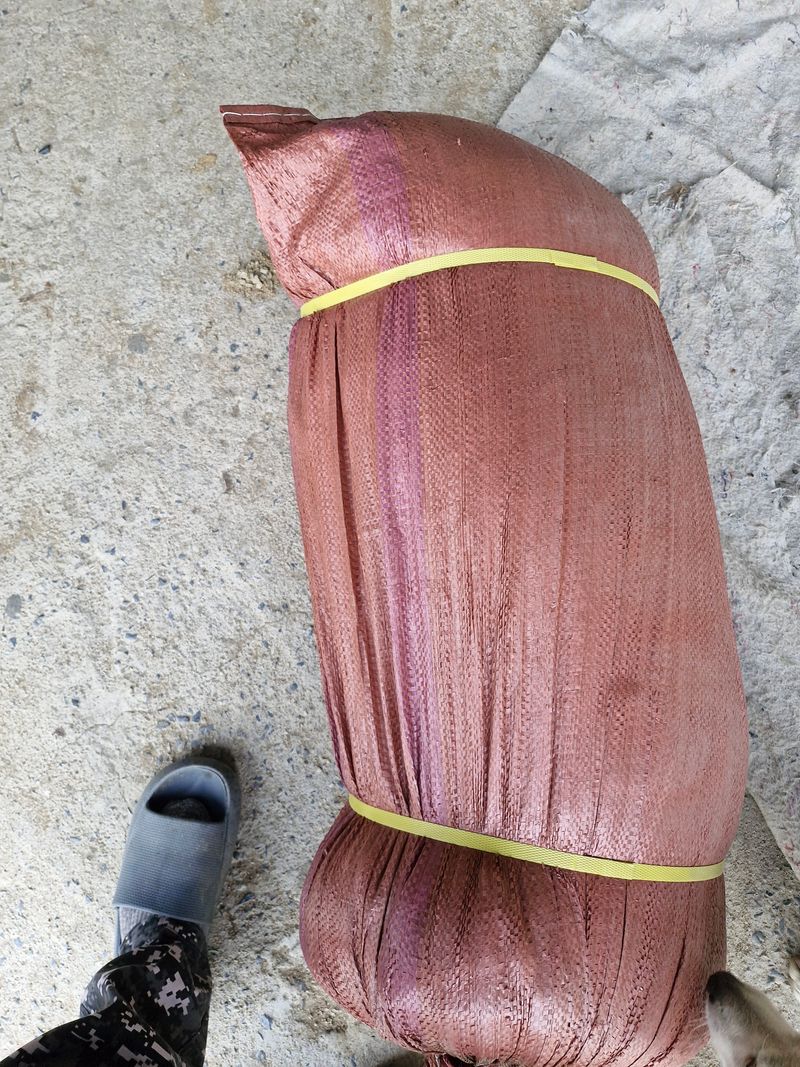 !정의규님의 장터 구매 후기 썸네일