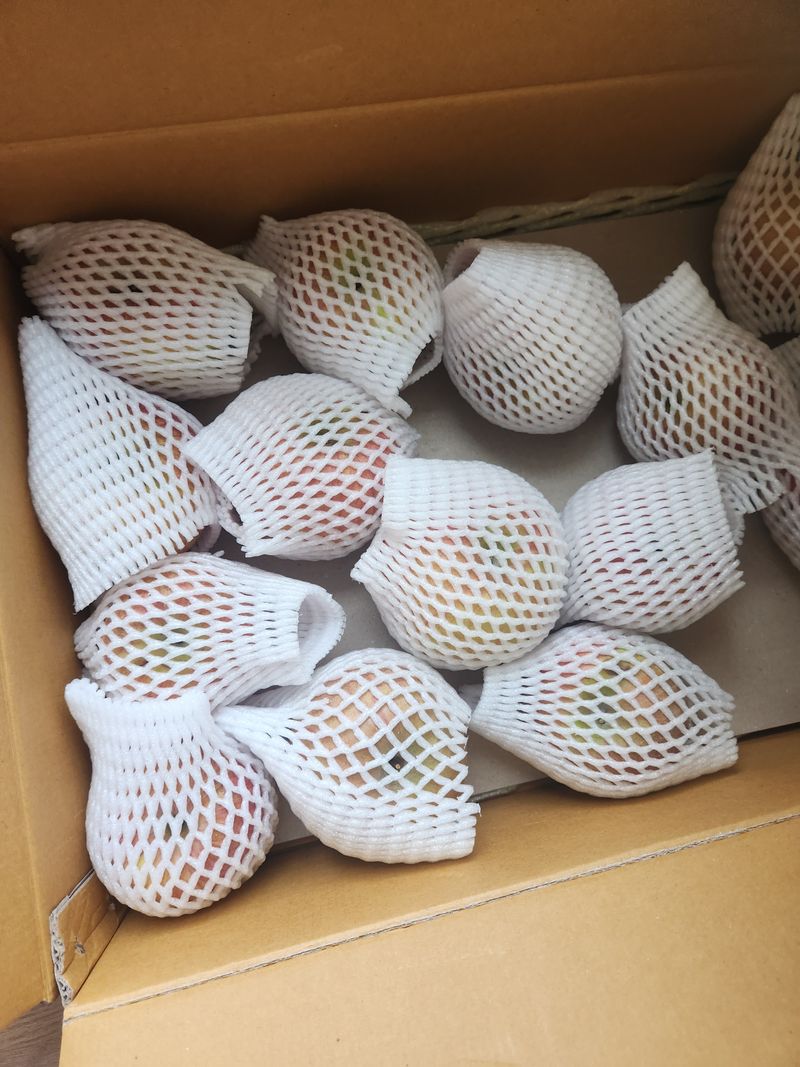 설란님의 장터 구매 후기 썸네일