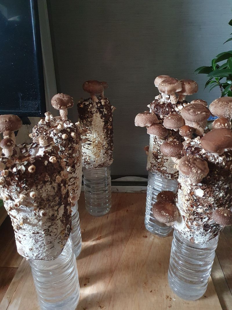 hhj9573님의 장터 구매 후기 썸네일