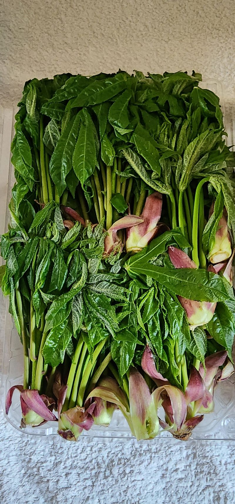 이윤성님의 장터 구매 후기 썸네일