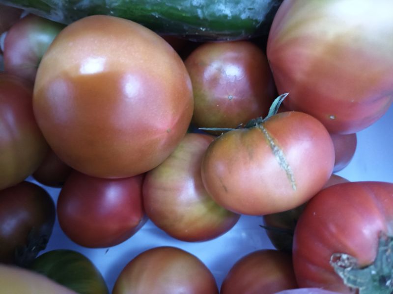 이영학 님의 장터 구매 후기 썸네일