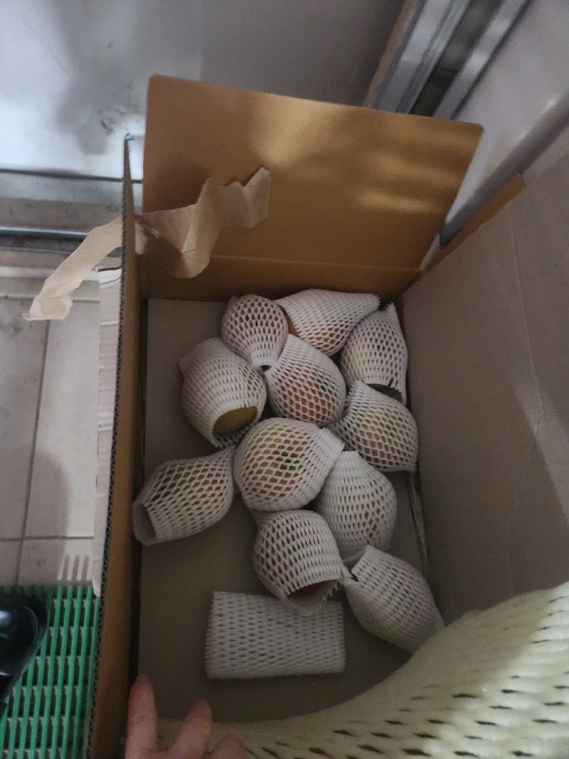 설란님의 장터 구매 후기 썸네일