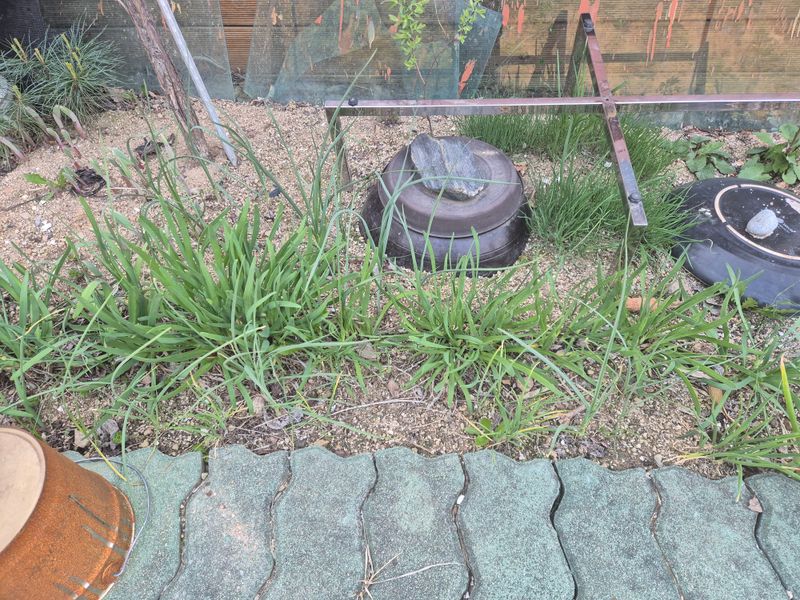 귤11442님의 장터 구매 후기 썸네일