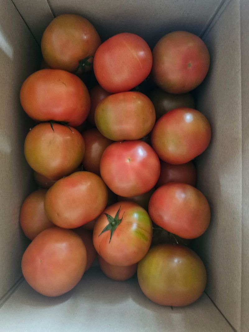 farmer님의 장터 구매 후기 썸네일