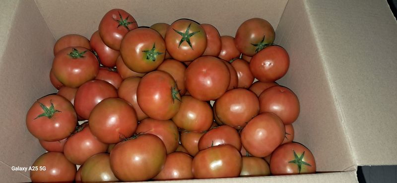 용기님의 장터 구매 후기 썸네일