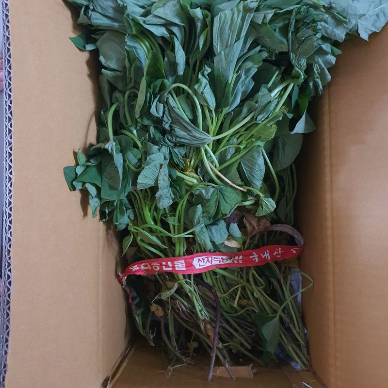 최금순(햇살농장)님의 장터 구매 후기 썸네일