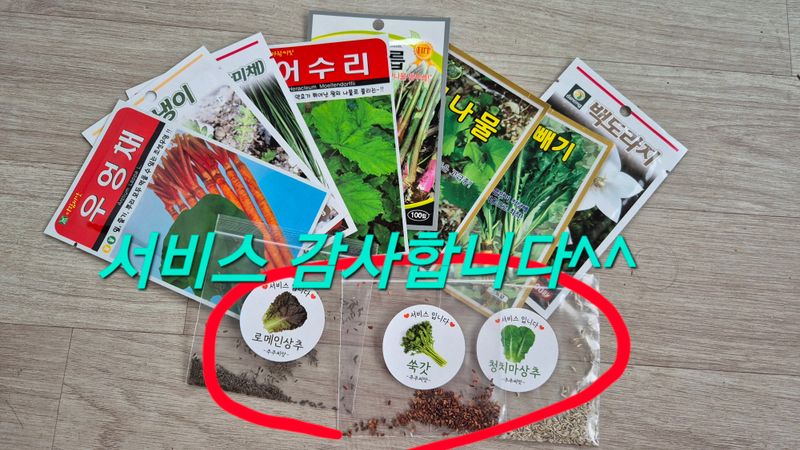 김새연님의 장터 구매 후기 썸네일