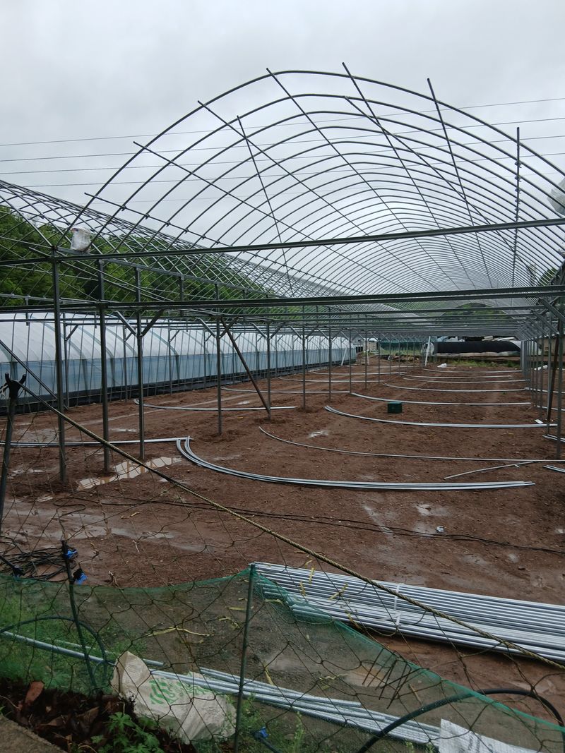 따사매님의 장터 구매 후기 썸네일