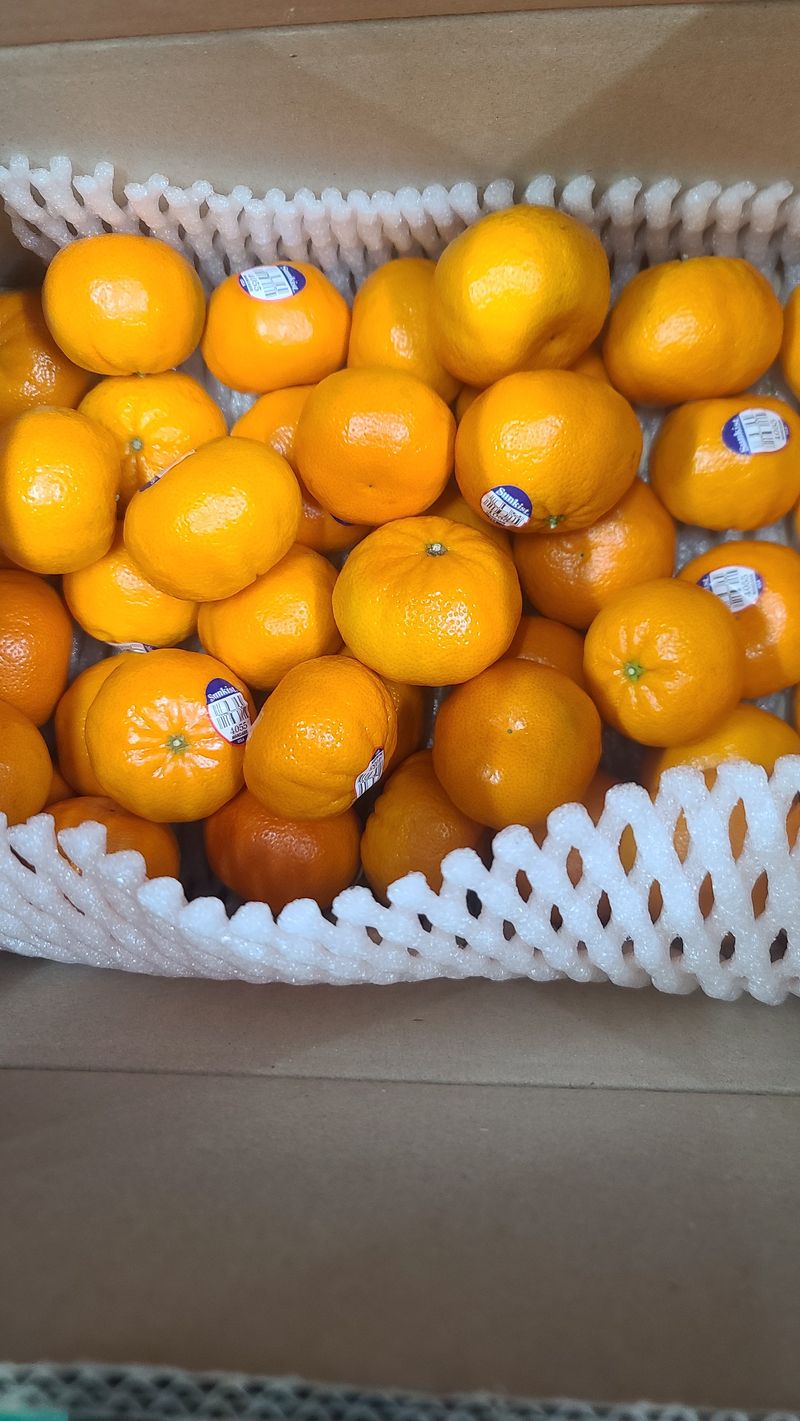 이덕훈(바쁜사람)님의 장터 구매 후기 썸네일