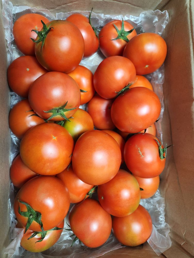 들깨17498님의 장터 구매 후기 썸네일