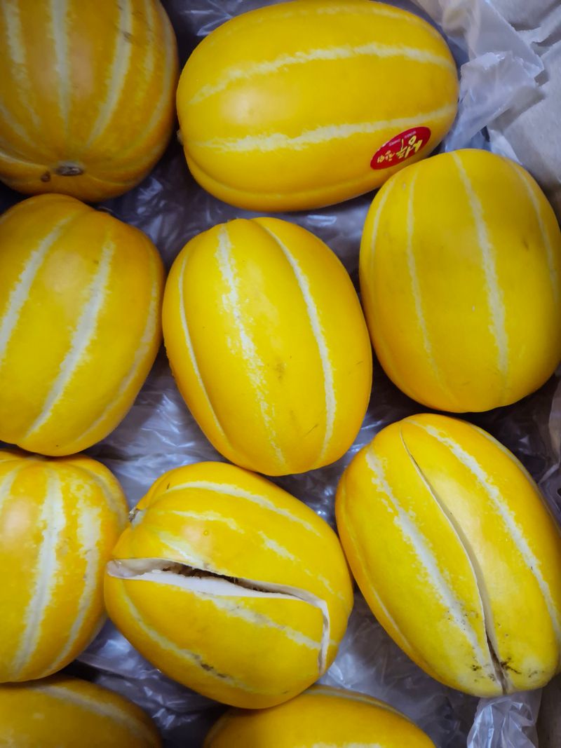 차파는농민(장보고)님의 장터 구매 후기 썸네일