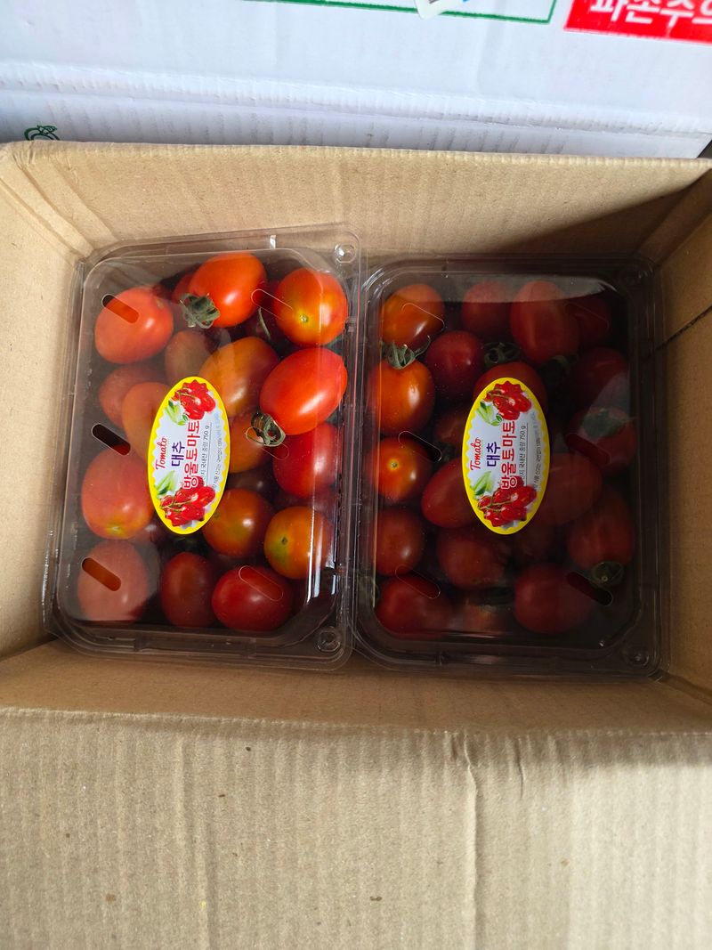 신호진님의 장터 구매 후기 썸네일