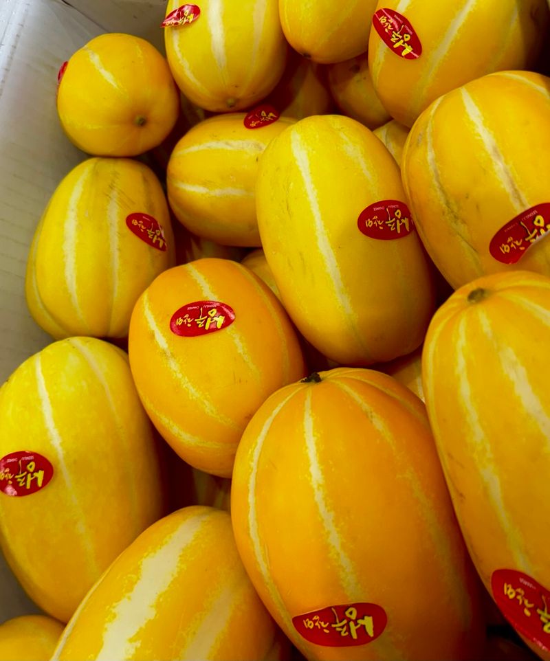 장독대님의 장터 구매 후기 썸네일