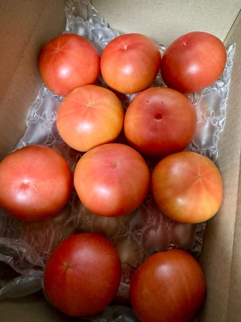 송승기님의 장터 구매 후기 썸네일