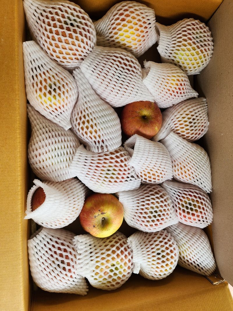 딸기2361님의 장터 구매 후기 썸네일