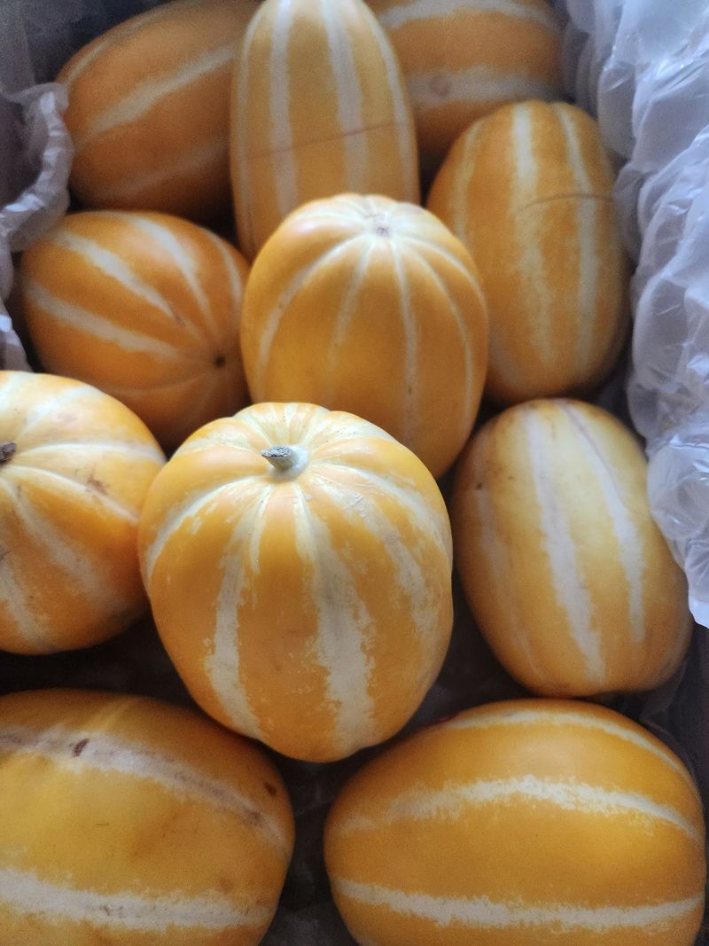 이창우님의 장터 구매 후기 썸네일