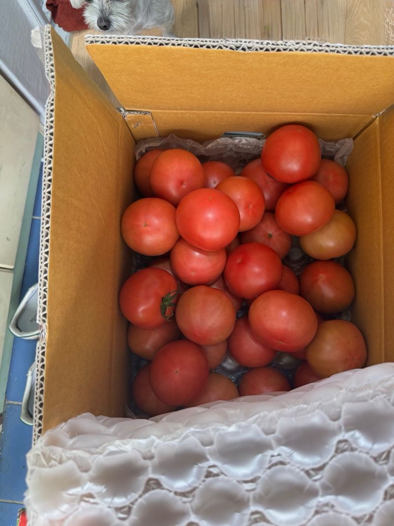 박성택님의 장터 구매 후기 썸네일