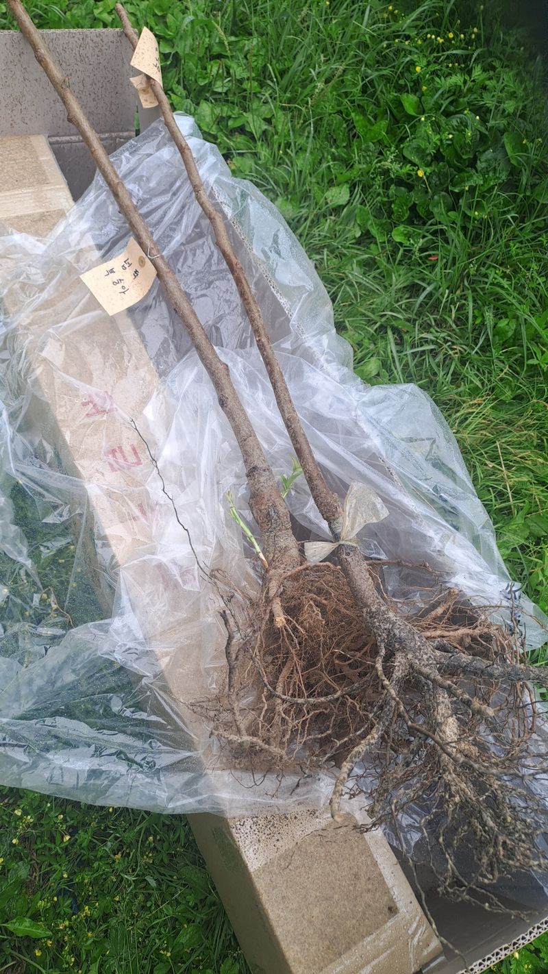 서은숙님의 장터 구매 후기 썸네일