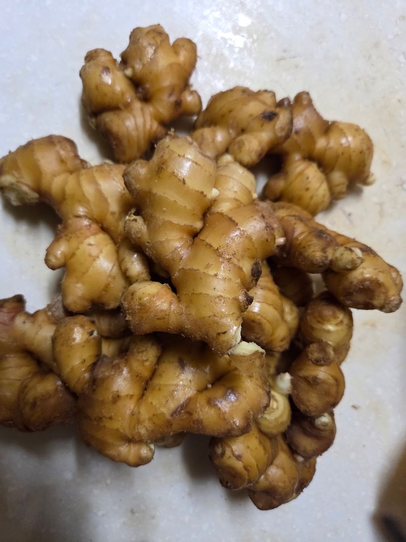 김남수님의 장터 구매 후기 썸네일