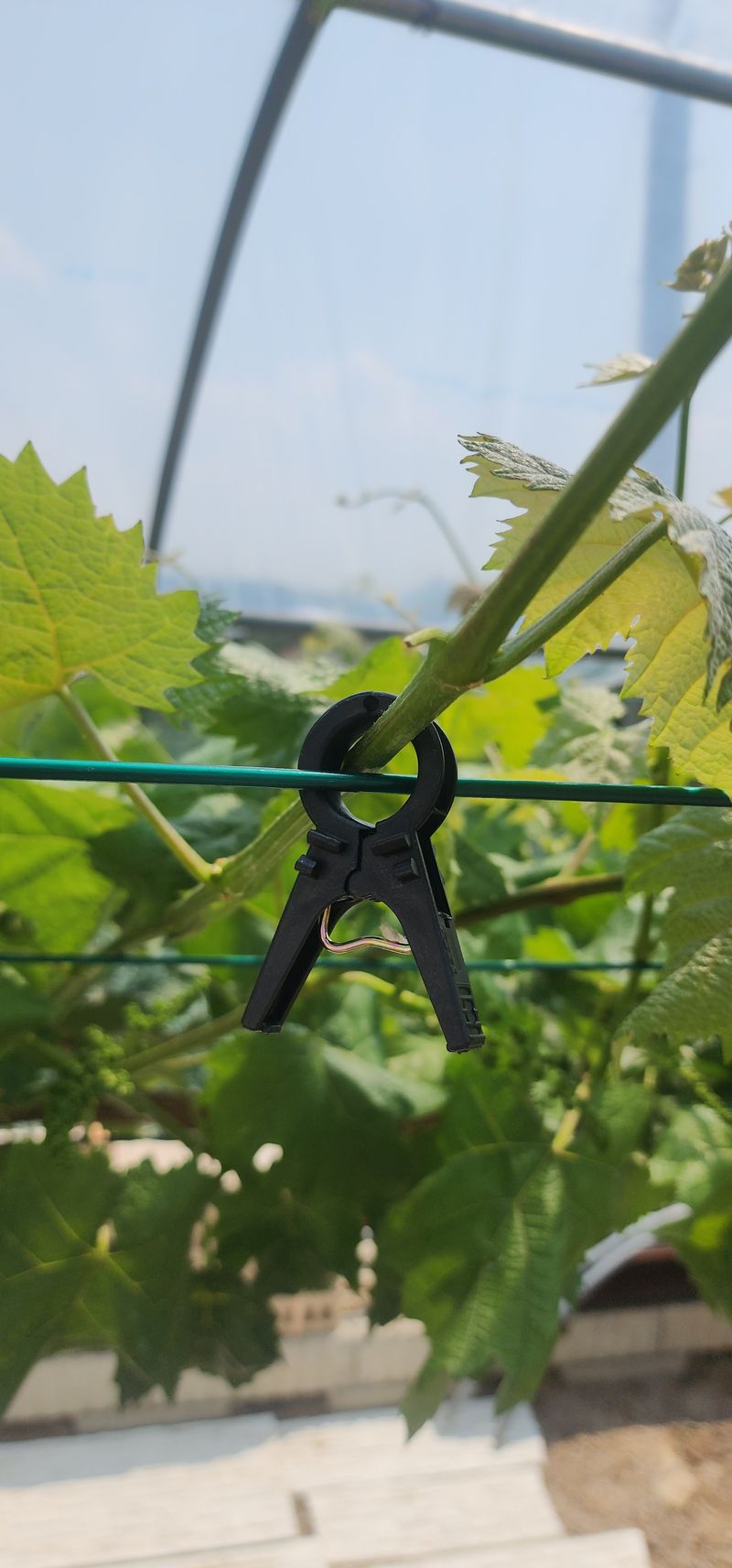 참깨16864님의 장터 구매 후기 썸네일