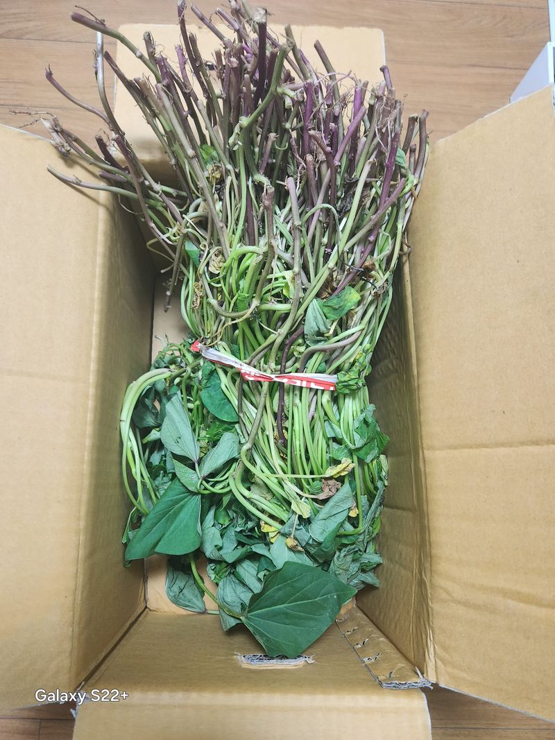 조기덕님의 장터 구매 후기 썸네일