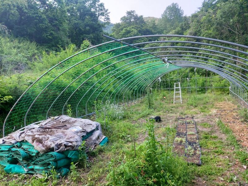 이은연님의 장터 구매 후기 썸네일