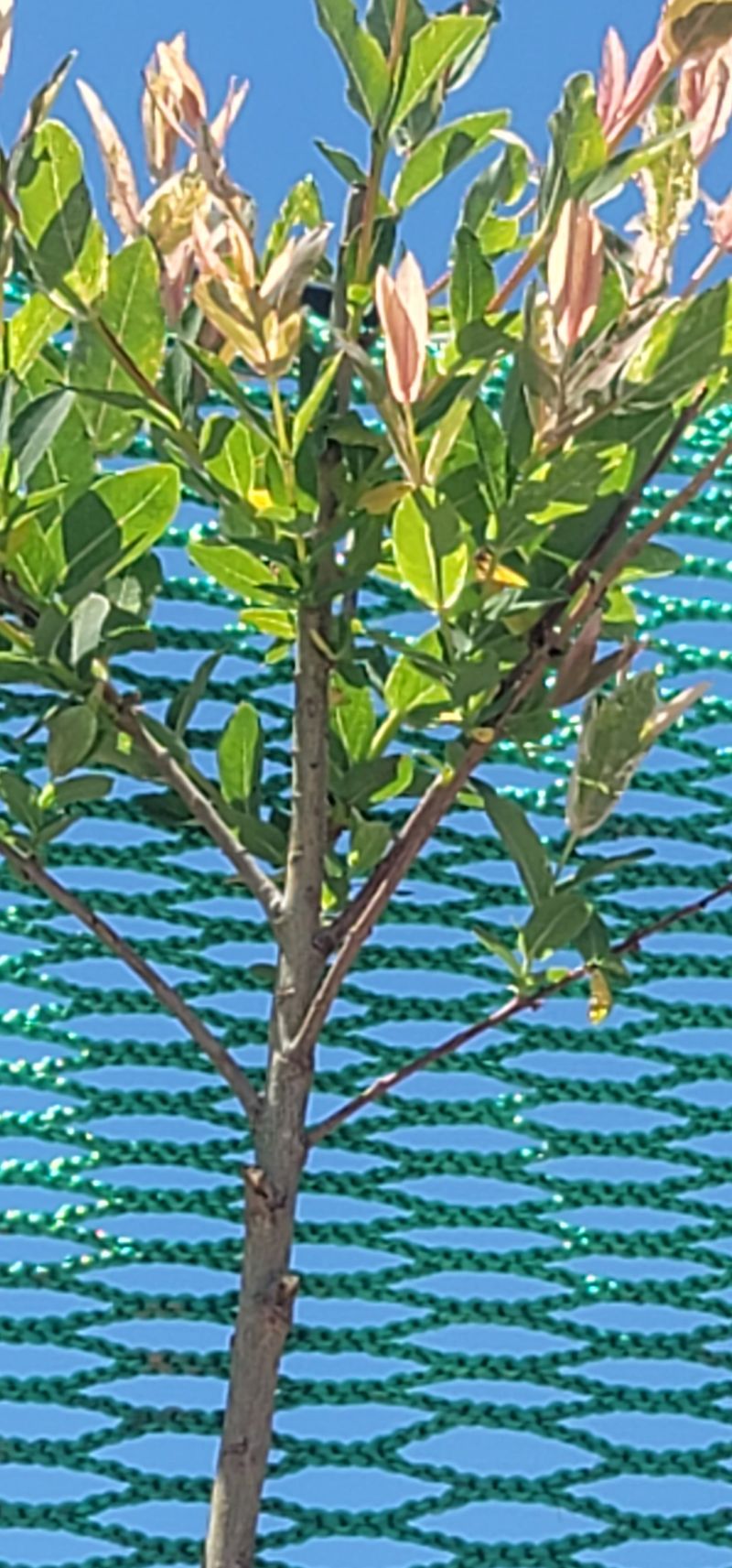 이인옥님의 장터 구매 후기 썸네일