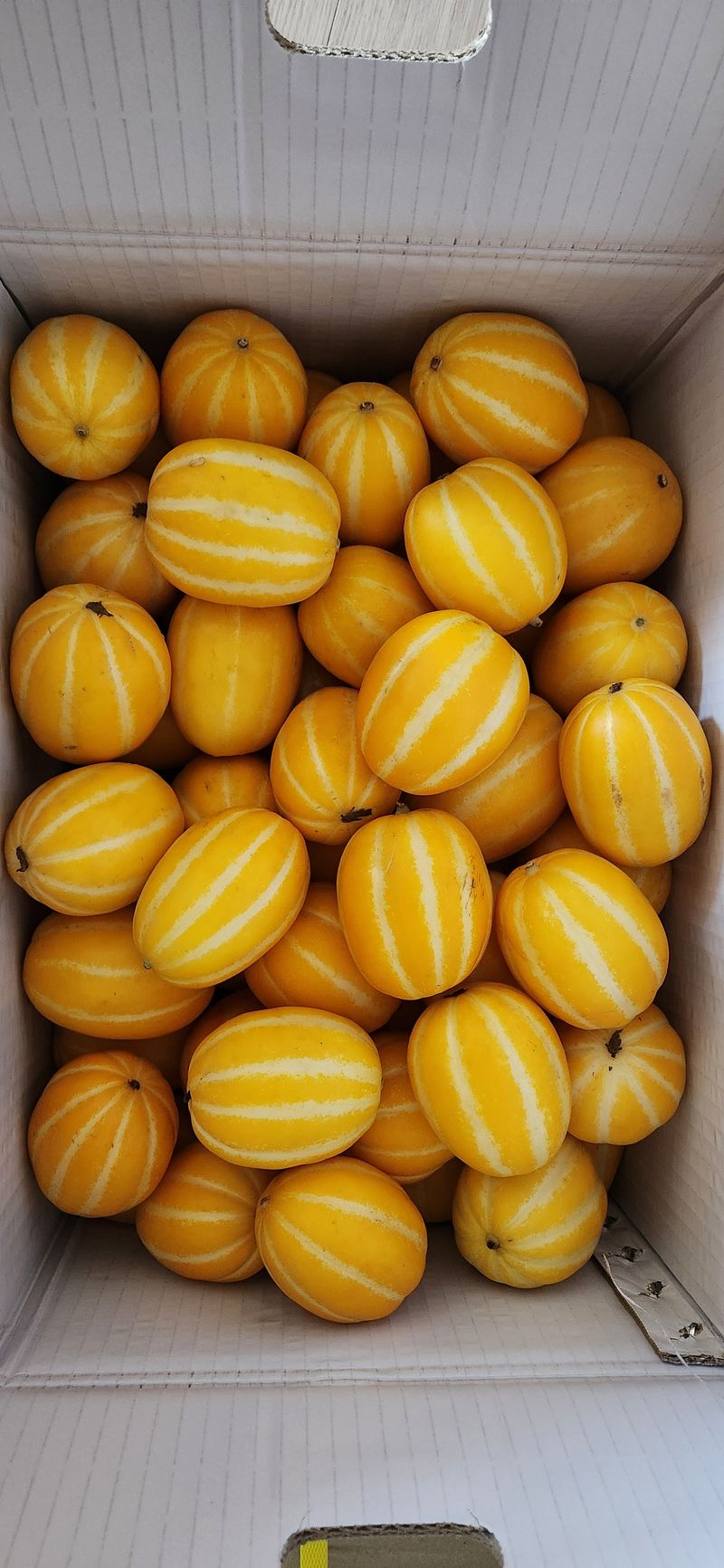 박경미님의 장터 구매 후기 썸네일