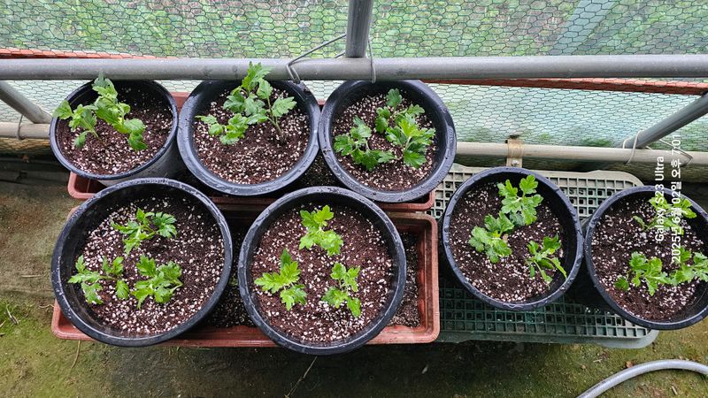 윤지상님의 장터 구매 후기 썸네일