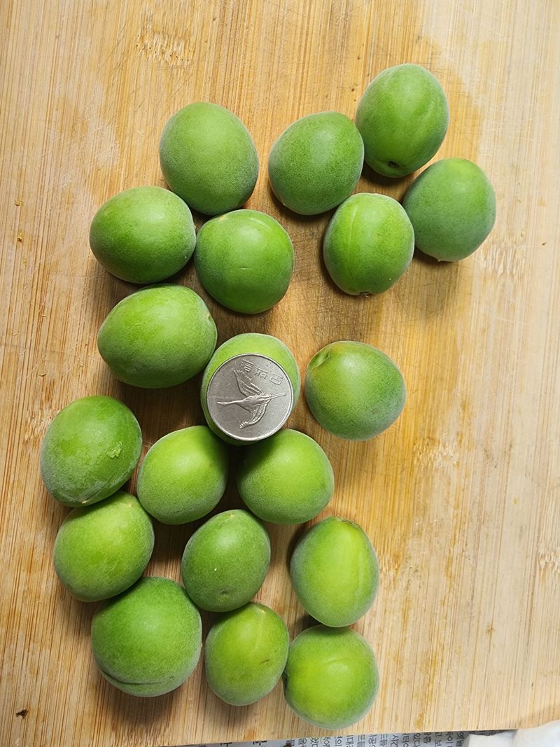 이현서님의 장터 구매 후기 썸네일