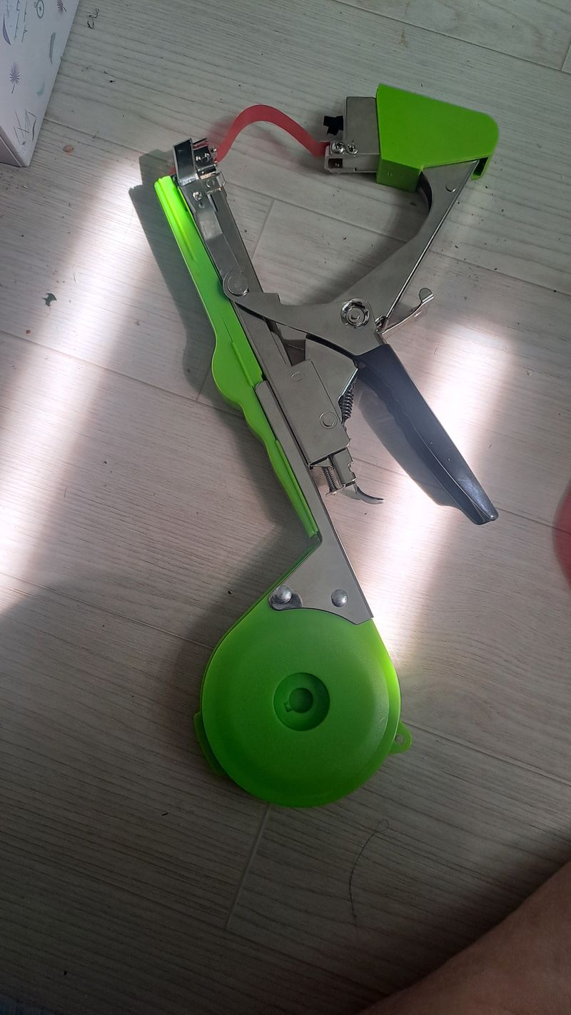 서은숙님의 장터 구매 후기 썸네일