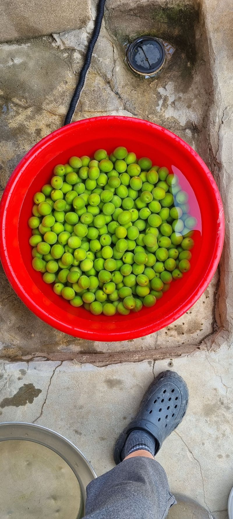 조우연님의 장터 구매 후기 썸네일