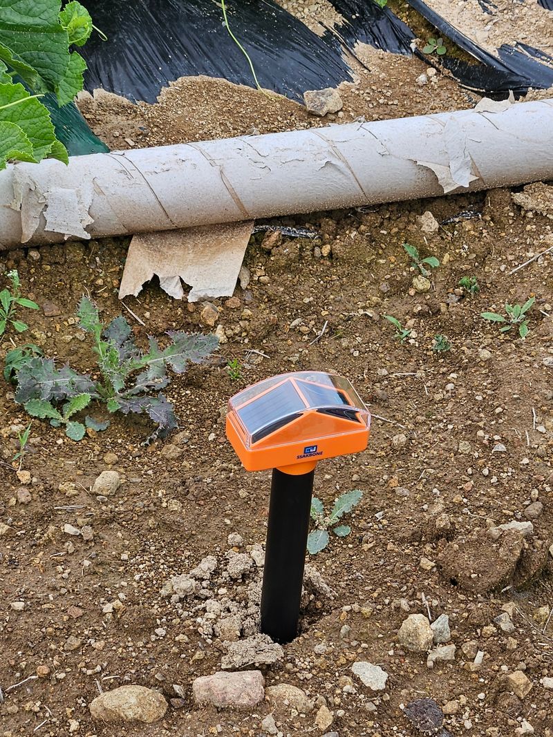 백호순(후추)님의 장터 구매 후기 썸네일