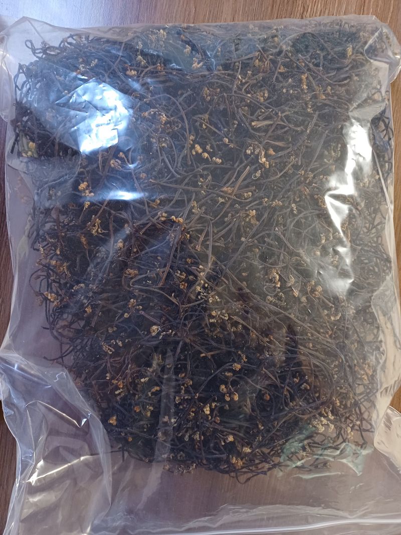 감8452님의 장터 구매 후기 썸네일