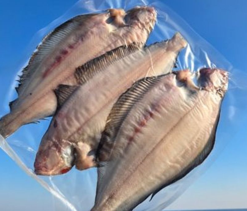 봉원대님의 장터 구매 후기 썸네일