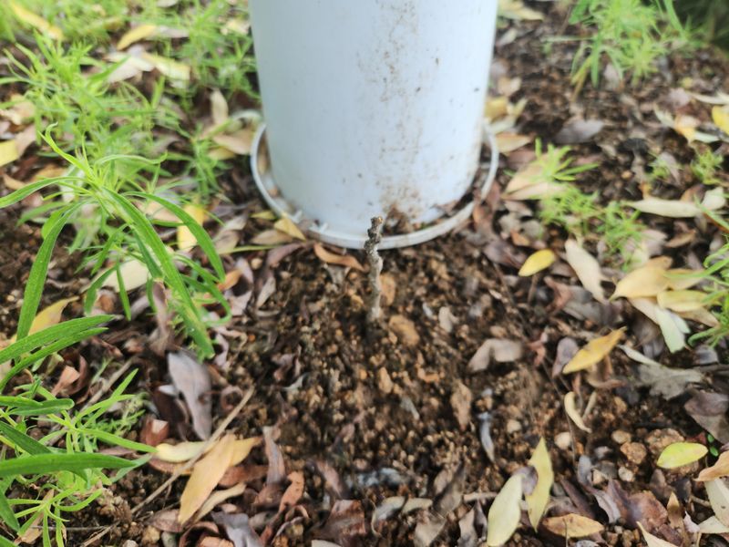 나용제님의 장터 구매 후기 썸네일