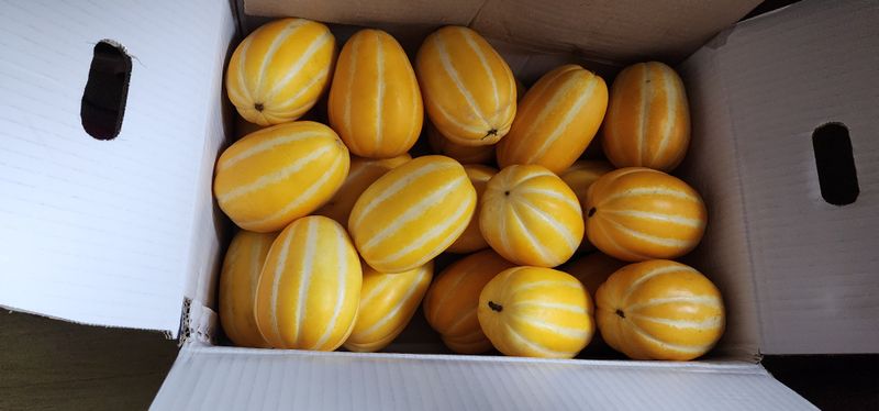 사과24474님의 장터 구매 후기 썸네일