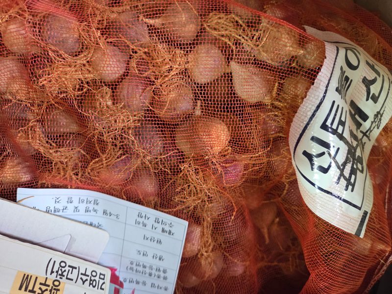 조미숙님의 장터 구매 후기 썸네일