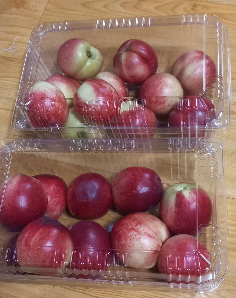 문순님의 장터 구매 후기 썸네일