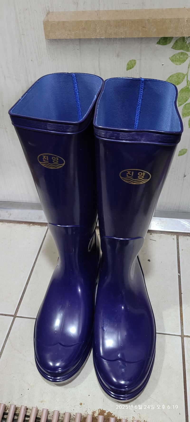 김윤호님의 장터 구매 후기 썸네일