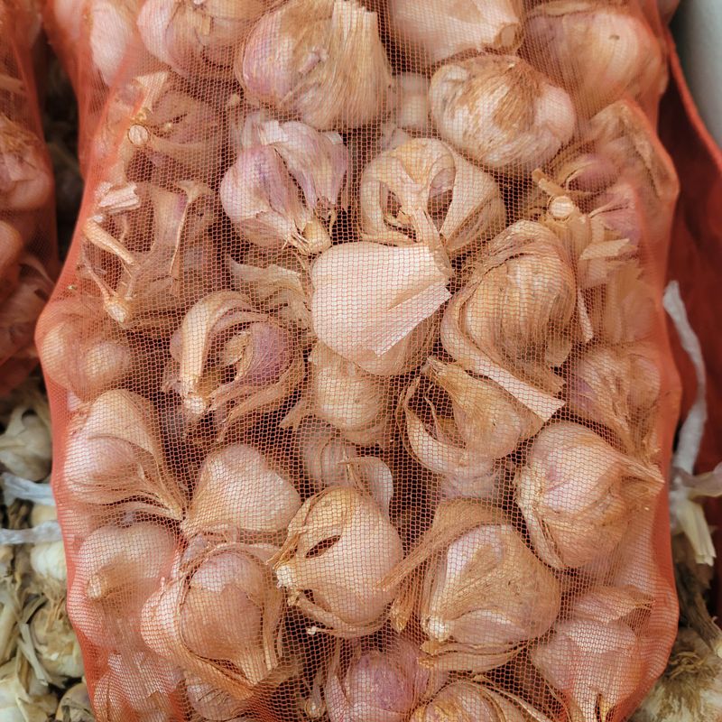 채인자님의 장터 구매 후기 썸네일