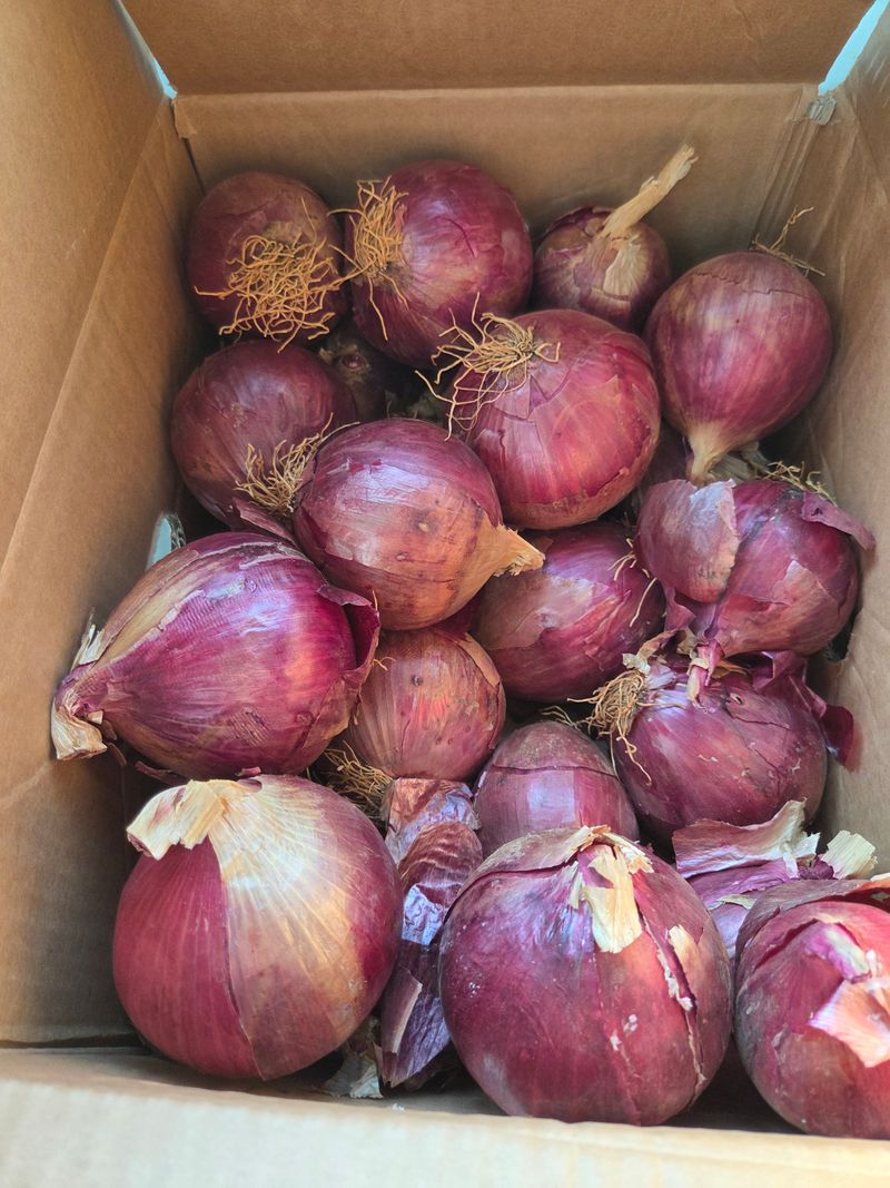 오현백님의 장터 구매 후기 썸네일