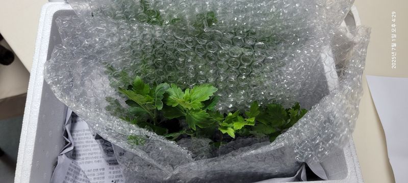 김윤호님의 장터 구매 후기 썸네일