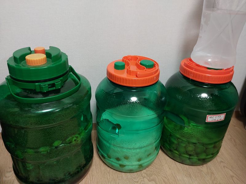 양배추19999님의 장터 구매 후기 썸네일