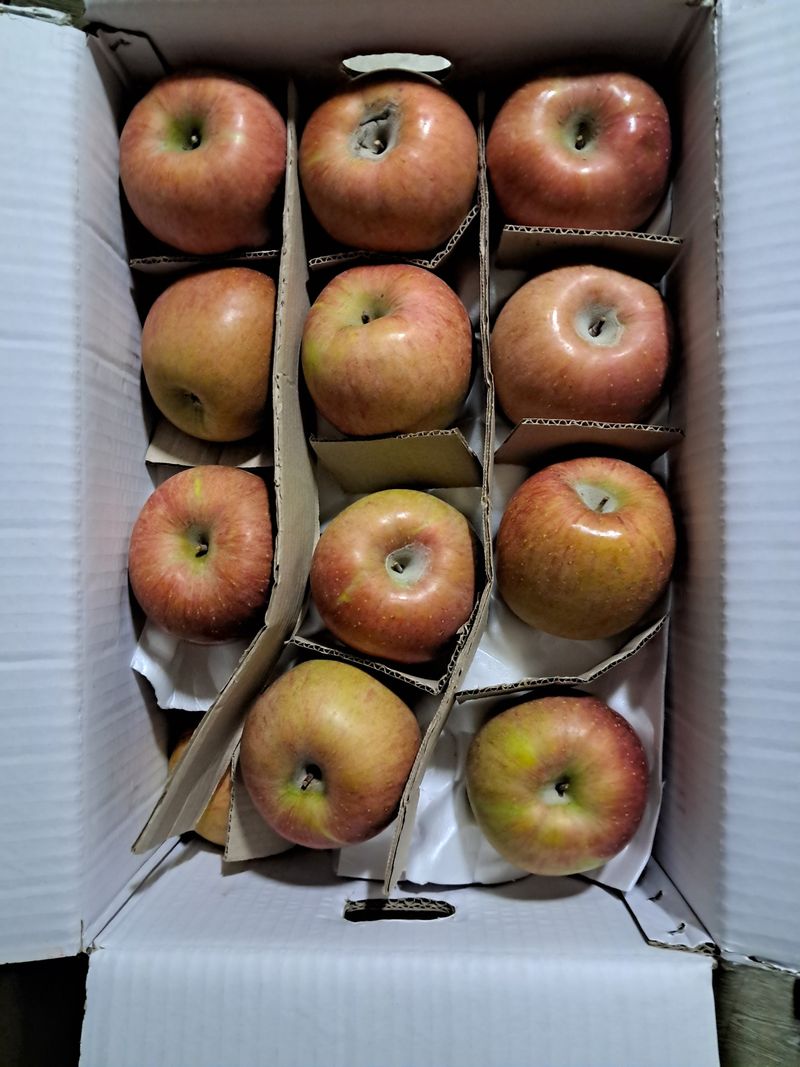 이경숙님의 장터 구매 후기 썸네일