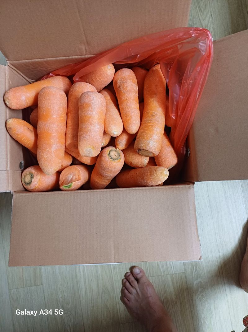 한양동님의 장터 구매 후기 썸네일