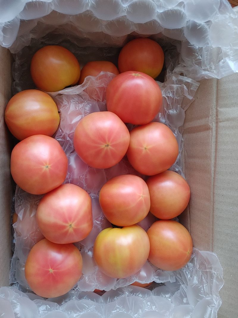 이상선님의 장터 구매 후기 썸네일