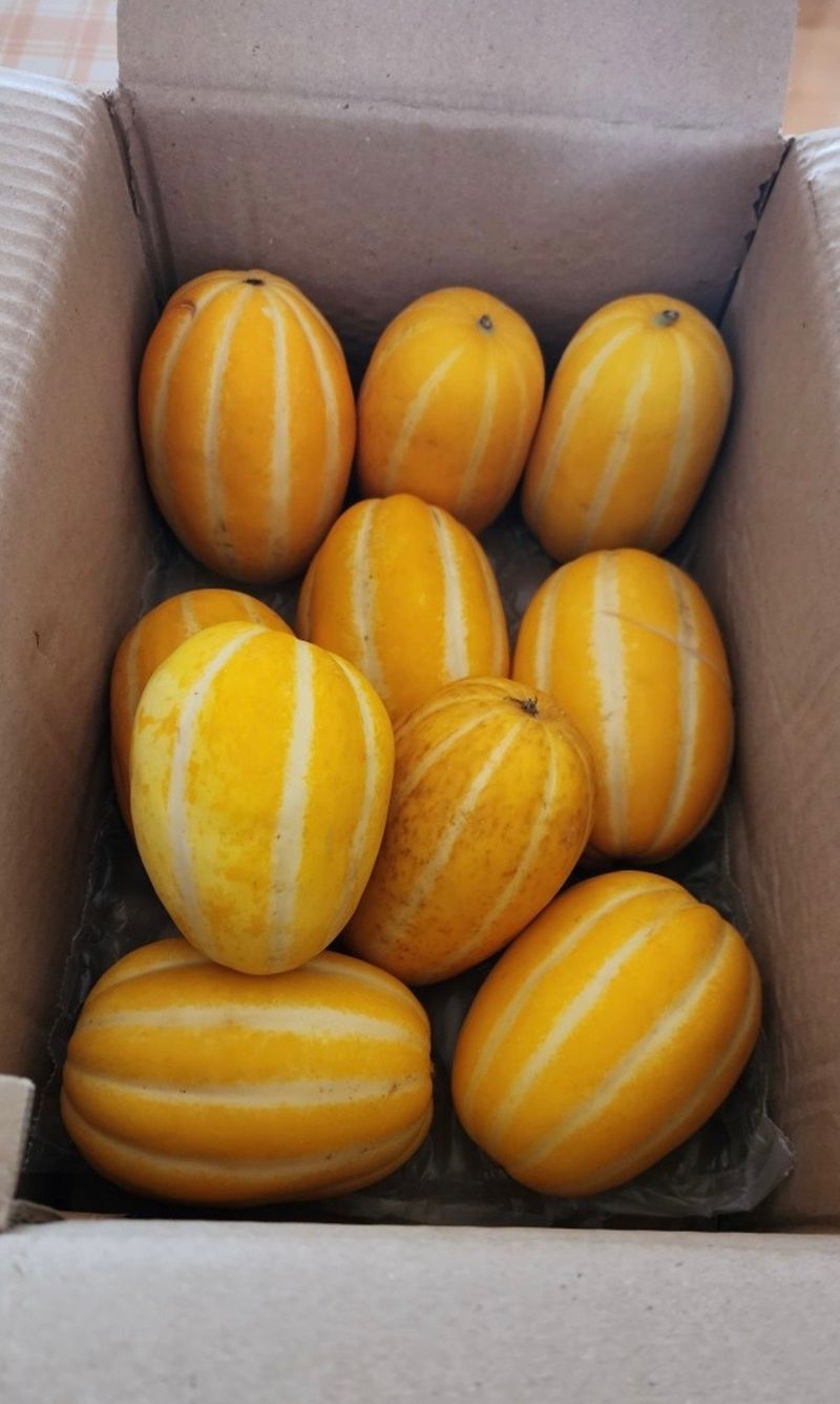 김용억님의 장터 구매 후기 썸네일